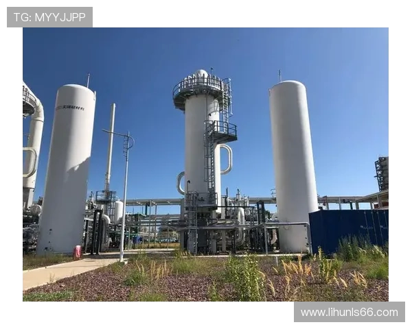 LNG在大师赛中的状态分析与表现评估探讨